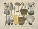 Faithful representations and descriptions of edible, harmful, and suspicious mushrooms Pl30 - J V Krombholz — artwork view