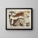 Faithful representations and descriptions of edible, harmful, and suspicious mushrooms Pl46 - J V Krombholz — framed artwork on a wall