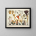 Faithful representations and descriptions of edible, harmful, and suspicious mushrooms Pl54 - J V Krombholz — framed artwork on a wall