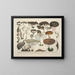 Faithful representations and descriptions of edible, harmful, and suspicious mushrooms Pl61 - J V Krombholz — framed artwork on a wall