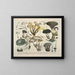 Faithful representations and descriptions of edible, harmful, and suspicious mushrooms Pl62 - J V Krombholz — framed artwork on a wall