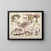 Faithful representations and descriptions of edible, harmful, and suspicious mushrooms Pl63 - J V Krombholz — framed artwork on a wall