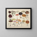 Faithful representations and descriptions of edible, harmful, and suspicious mushrooms Pl66 - J V Krombholz — framed artwork on a wall