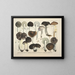 Faithful representations and descriptions of edible, harmful, and suspicious mushrooms Pl72 - J V Krombholz — framed artwork on a wall