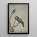 a Parrot with a red fan Deroptyus accipitrinus and a Tawny-shouldered oriole Agelaius humeralis - Jabes Heenck — framed artwork on a wall