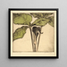 Jack dans le pupitre - Bertha Jaques — framed artwork on a wall
