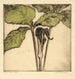 Jack dans le pupitre - Bertha Jaques — artwork view