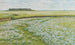 A vast summer landscape - Jacob Alberts — artwork view