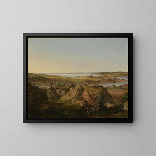 View of the Moss - Jacob Coning — framed artwork on a wall