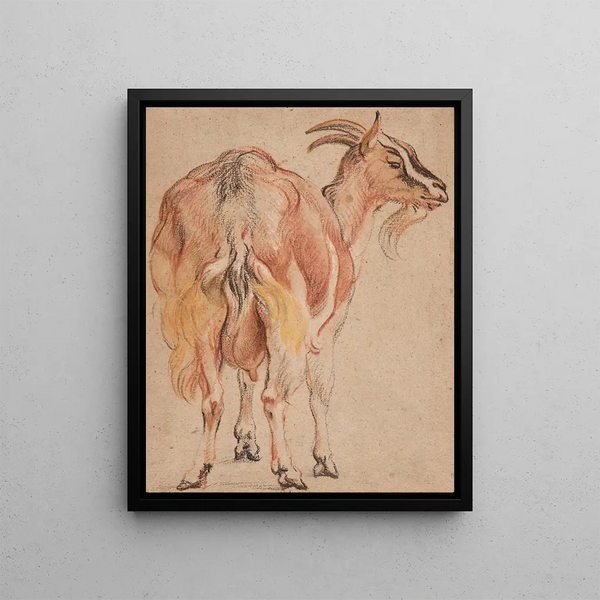 Goat - Jacob Jordaens — framed artwork on a wall