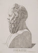 Bust of Socrates - Jacob Kornerup — artwork view