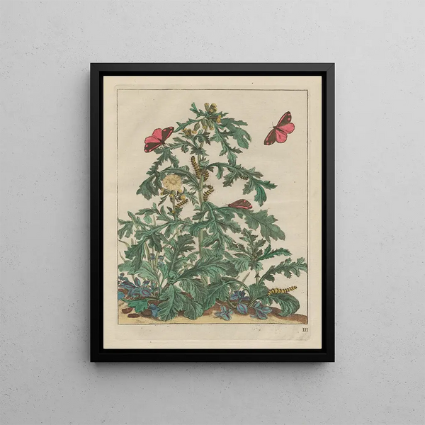 Precise observations of numerous shape-shifting labor animals Painting Pl03 - Jacob L'Admiral — framed artwork on a wall