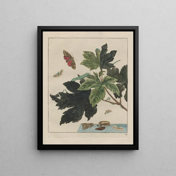 Precise observations of numerous shape-shifting labor animals Painting Pl11 - Jacob L'Admiral — framed artwork on a wall