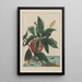 Precise observations of numerous metamorphosed small animals Pl13 - Jacob L'Admiral — framed artwork on a wall