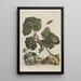 Precise observations of numerous transformed small animals Pl14 - Jacob L'Admiral — framed artwork on a wall