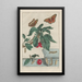 Precise observations of numerous metamorphosed small animals Pl15 - Jacob L'Admiral — framed artwork on a wall