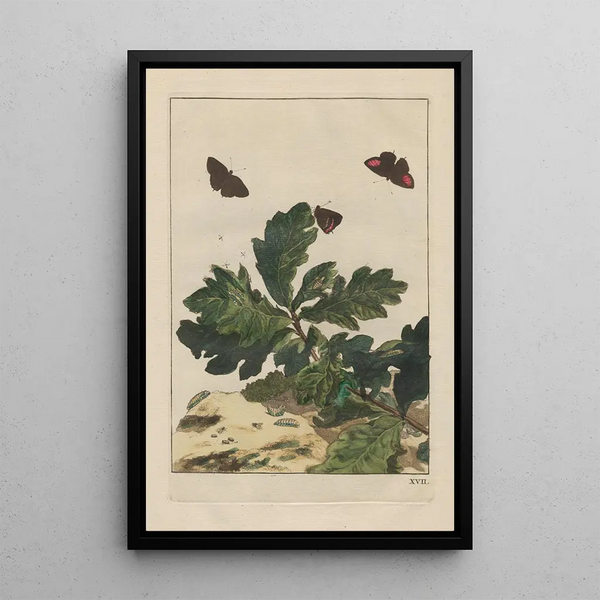 Precise observations of numerous tiny metamorphosed animals Painting Pl17 - Jacob L'Admiral — framed artwork on a wall