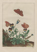 Precise observations of numerous metamorphosed small animals Pl19 - Jacob L'Admiral — artwork view