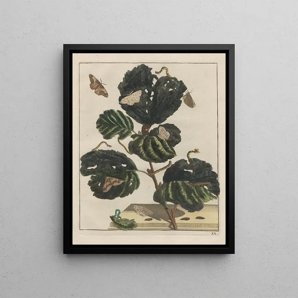 Precise observations of numerous animals sculpted with changing forms Pl20 - Jacob L'Admiral — framed artwork on a wall