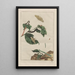 Precise observations of numerous metamorphosed small animals Pl21 - Jacob L'Admiral — framed artwork on a wall