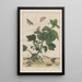 Precise observations of numerous transformed small animals Pl23 - Jacob L'Admiral — framed artwork on a wall