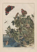 Precise observations of numerous metamorphosed small animals Pl24 - Jacob L'Admiral — artwork view