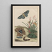 Precise observations of numerous transformed small animals Pl25 - Jacob L'Admiral — framed artwork on a wall