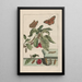 Precise observations on the transformations of numerous metamorphosed insects or small animals Pl15 - Jacob L'Admiral — framed artwork on a wall
