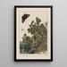 Precise observations on the transformations of numerous metamorphosed insects or small animals Pl24 - Jacob L'Admiral — framed artwork on a wall