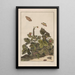 Precise observations on the transformations of numerous metamorphosed insects or small animals Pl27 - Jacob L'Admiral — framed artwork on a wall