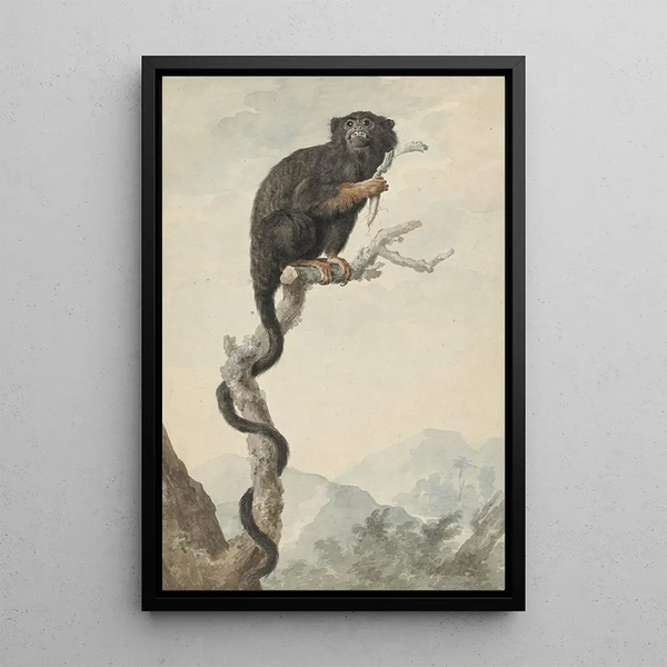 A red-handed tamarin - Jacob Pynas — framed artwork on a wall