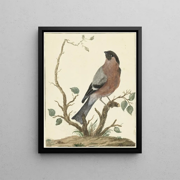 Bouvreuil Painting - Jacob Pynas — framed artwork on a wall