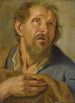 Portrait of an Old Man - Jacob Toorenvliet — artwork view