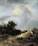 Landscape of dunes with fence - Jacob van Ruisdael — artwork view