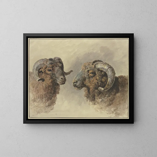 Two sheep - Jacob van Strij — framed artwork on a wall