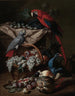 Still life with two parrots, a guinea pig, a basket of fruit, and poultry - Jacob van de Kerckhoven — artwork view