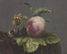 Butterfly and fly on a peach - Jacoba Maria van Nickelen — artwork view
