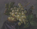 Butterfly and wasp among grapes - Jacoba Maria van Nickelen — artwork view