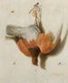 a small trompe with a willow ptarmigan hanging on a nail - Jacobus Biltius — artwork view