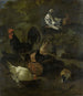 A rooster, hens, doves, and a marmot - Jacomo Victors — artwork view