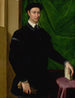 Portrait of a Gentleman - Jacopino del Conte — artwork view
