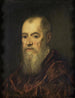 Portrait of a Man in a Red Coat - Jacopo Tintoretto — artwork view