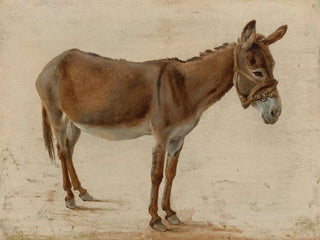 A Donkey - Jacques-Laurent Agasse — artwork view