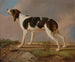 A hunting dog - Jacques-Laurent Agasse — artwork view