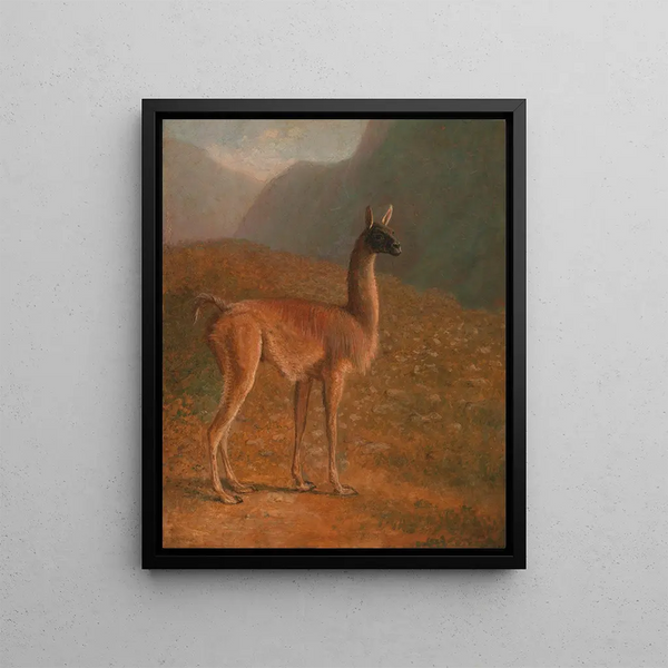 Guanaco Painting - Jacques-Laurent Agasse — framed artwork on a wall