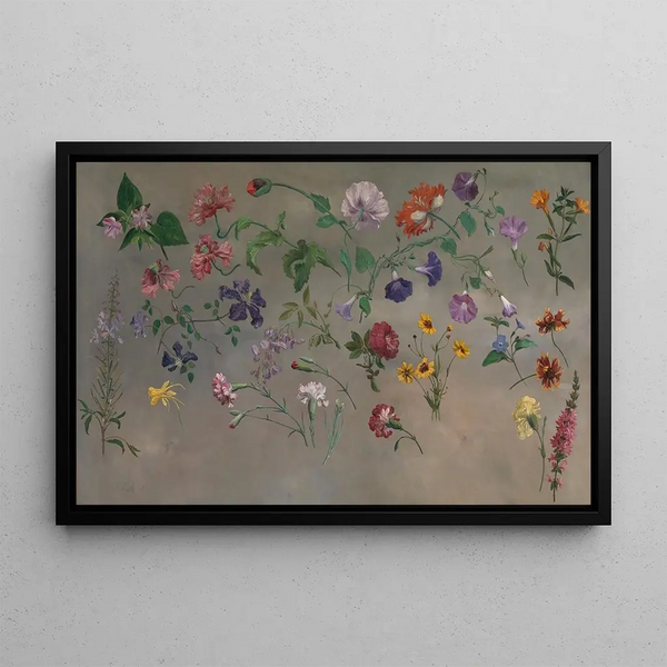 Flower Studies - Jacques-Laurent Agasse — framed artwork on a wall