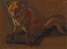 Study of a fox - Jacques-Laurent Agasse — artwork view