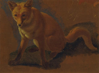 Study of a fox - Jacques-Laurent Agasse — artwork view