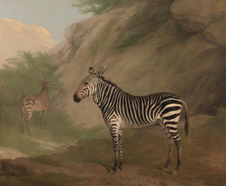 Zebra - Jacques-Laurent Agasse — artwork view