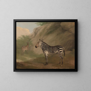 Zebra - Jacques-Laurent Agasse — framed artwork on a wall